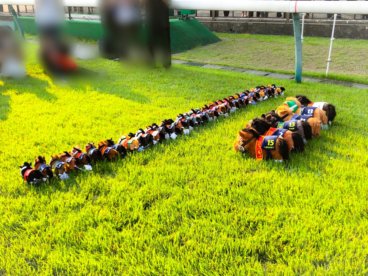 rurunica01's tweet photo. 競馬場で芝が開放されるとどうなる？

知らんのか、推し馬のぬいが集まる。

ちなみに大体が知らない人同士の持ち物で、「わ〜並んでる〜自分たちのも置こう！」でどんどん増えてこうなります(*'ω') https://t.co/eS1zQ4thwD