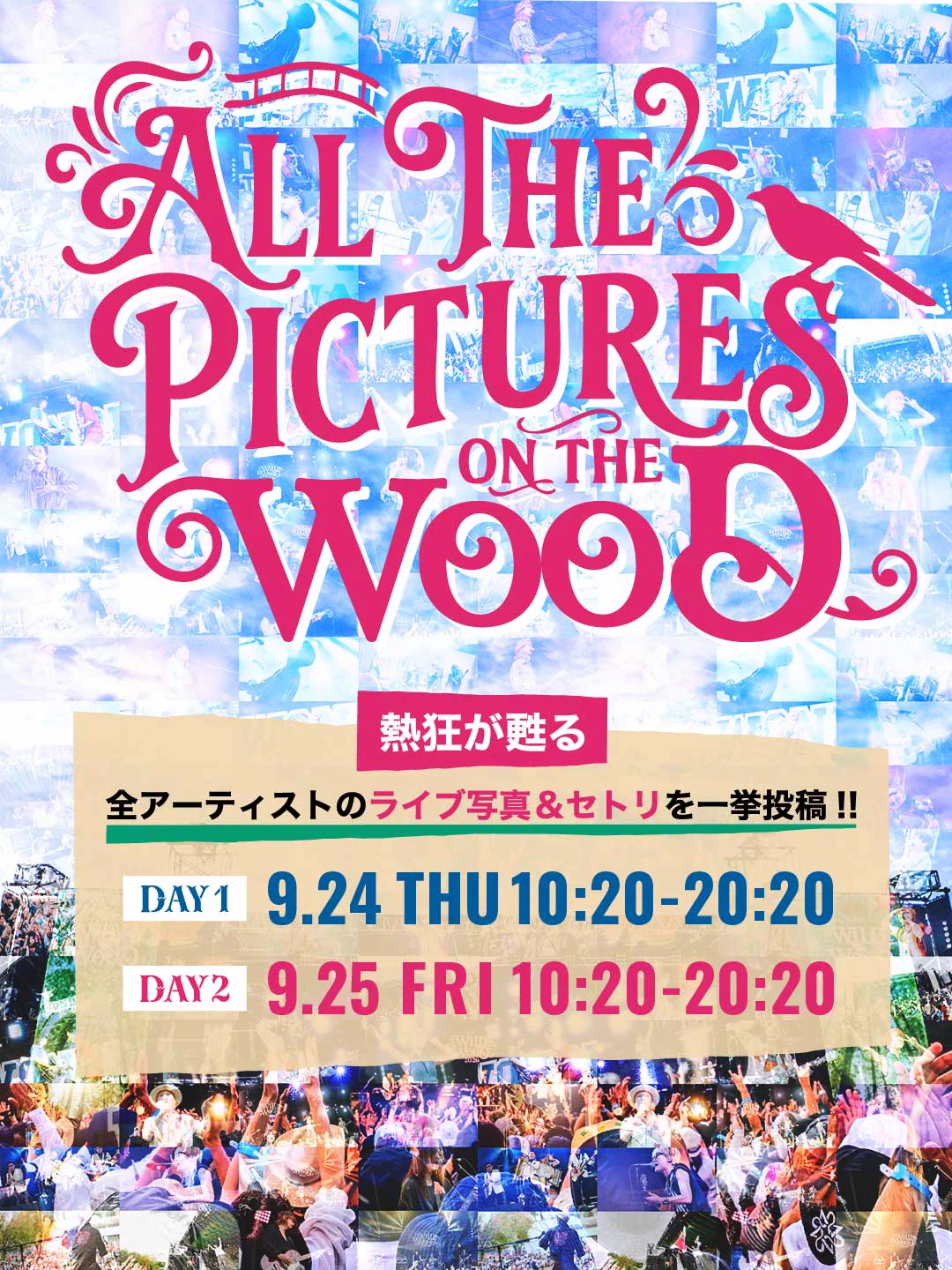 中津川 WILD WOOD 2026 on X: 