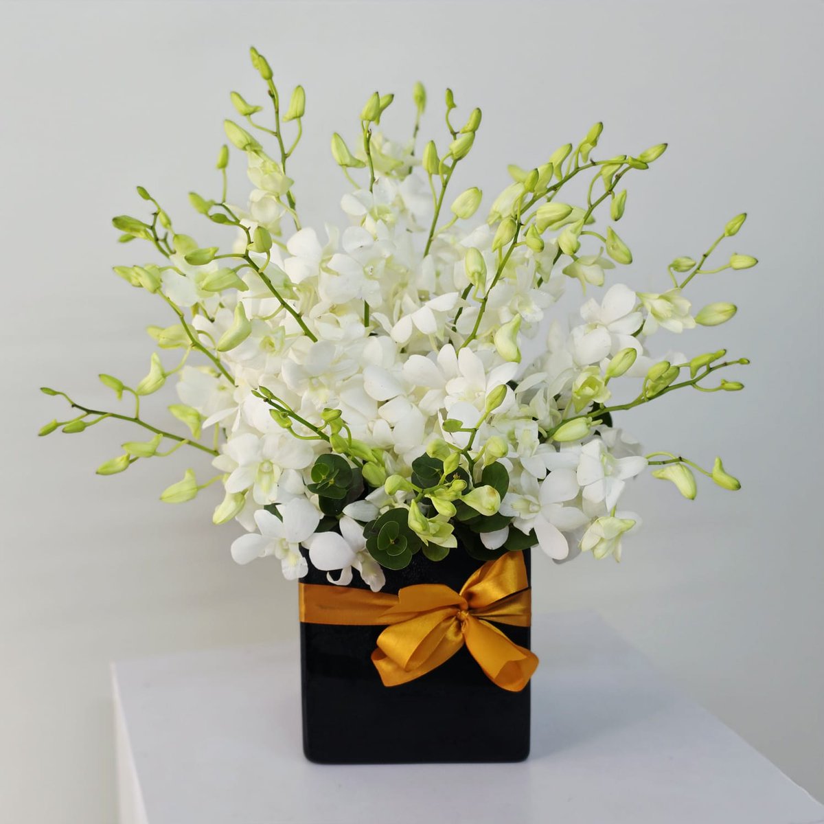 FranciscaPzy's tweet photo. 💙 Father's Day Flower Delivery in Sharjah | June 21, 2026 💙

Dad has always been there through every milestone, challenge, and success. This Father's Day, show your appreciation with a beautiful flower bouquet delivered anywhere in Sharjah. https://t.co/3EhK6H7A3h