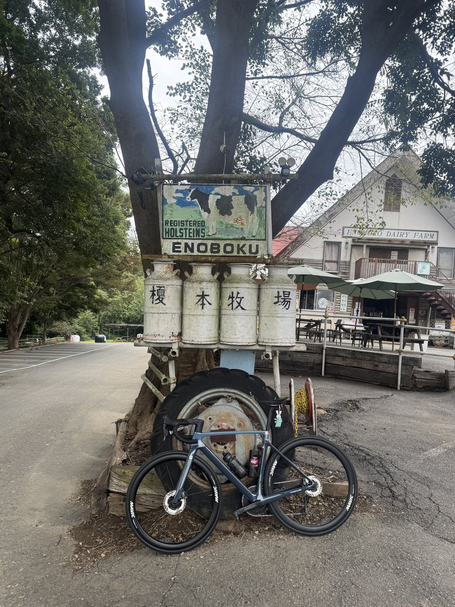monjirou_FX's tweet photo. J氏のお誘いを受けて久し振りの朝活🚴🚴いつもの南下ルートは水溜まりが多そうなので、北上して榎本牧場まで🐄
営業時間前でジェラート🍦は食べれず…
すっかりデブ化した身体には涼しくて丁度いいリハビリライドでした😊 https://t.co/4A9SyY1Zjf