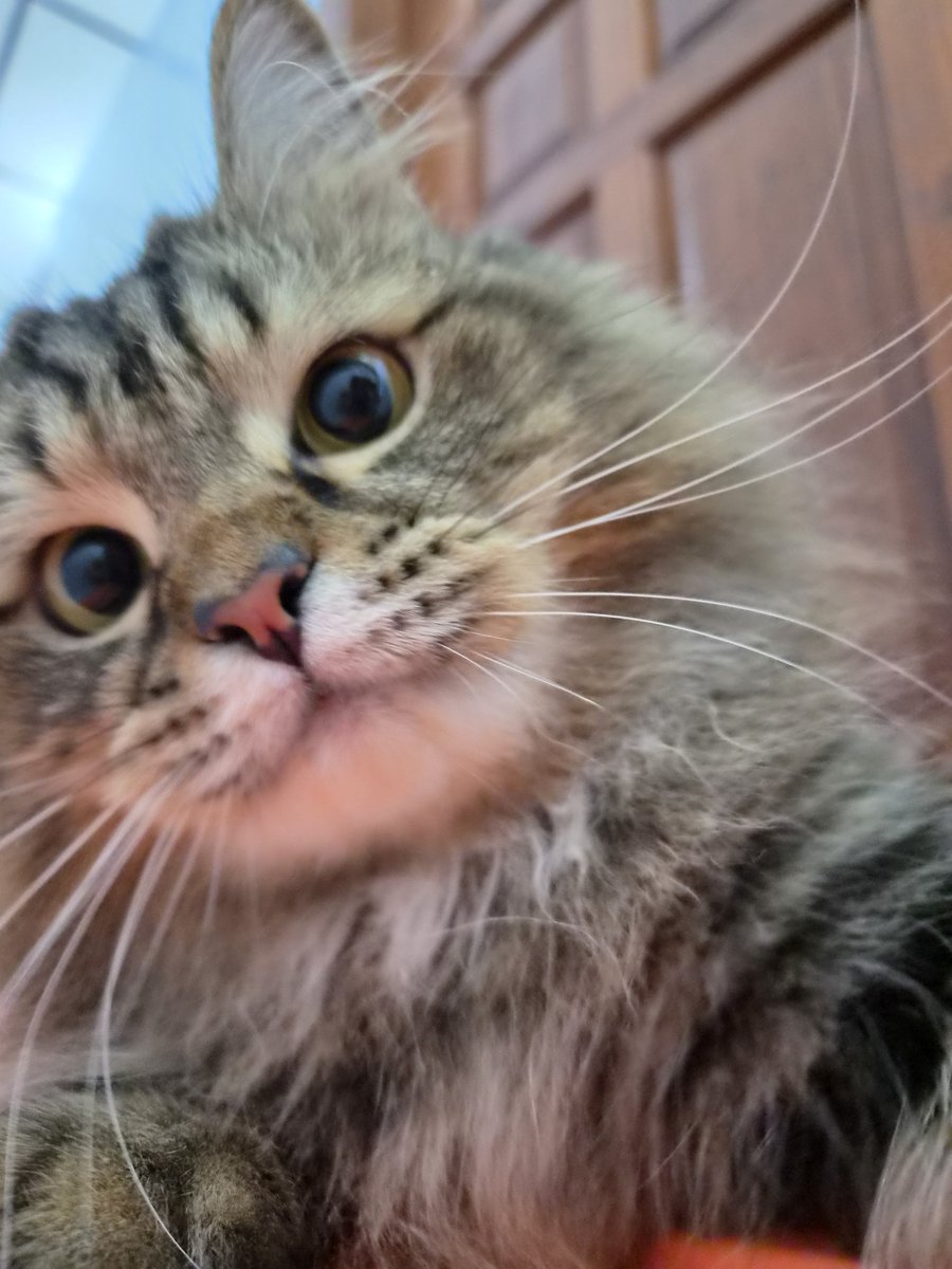 ikikemul's tweet photo. daripada kita marah-marah mending kita ramah-ramah 🥰 https://t.co/7hSxNeph2P