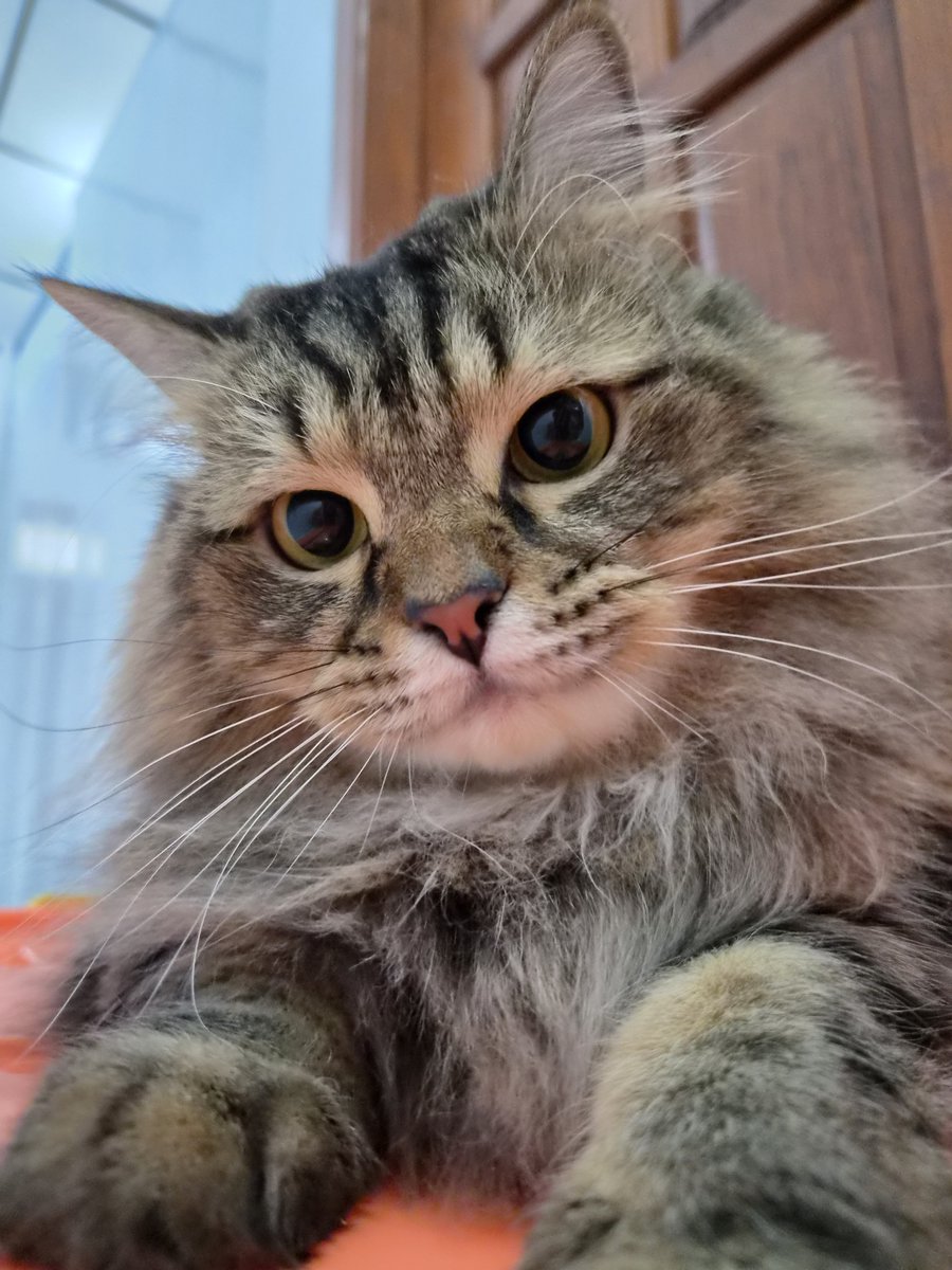 ikikemul's tweet photo. daripada kita marah-marah mending kita ramah-ramah 🥰 https://t.co/7hSxNeph2P