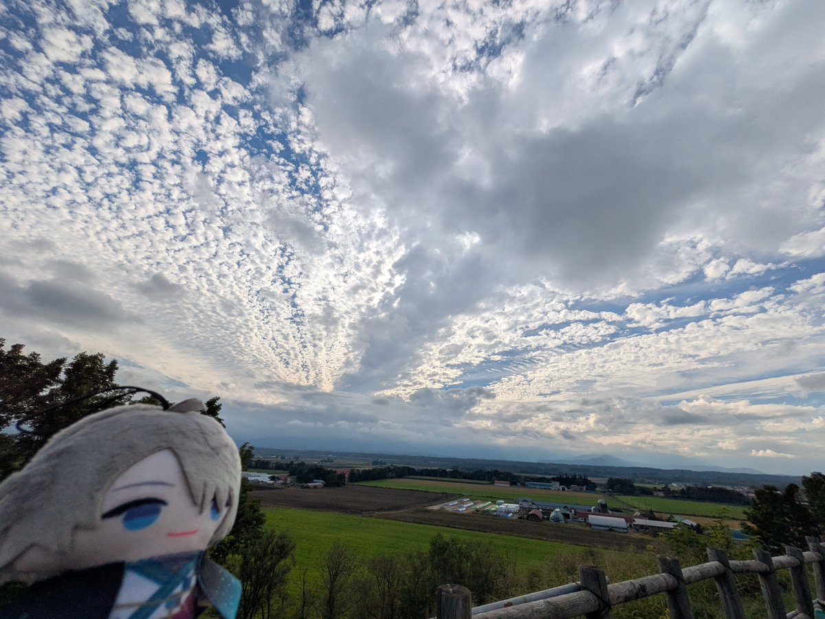 Haru_pi4's tweet photo. ほっかいどうを  かんじている
#にじぱぺっとが見られるタグ https://t.co/Godd3IktIB
