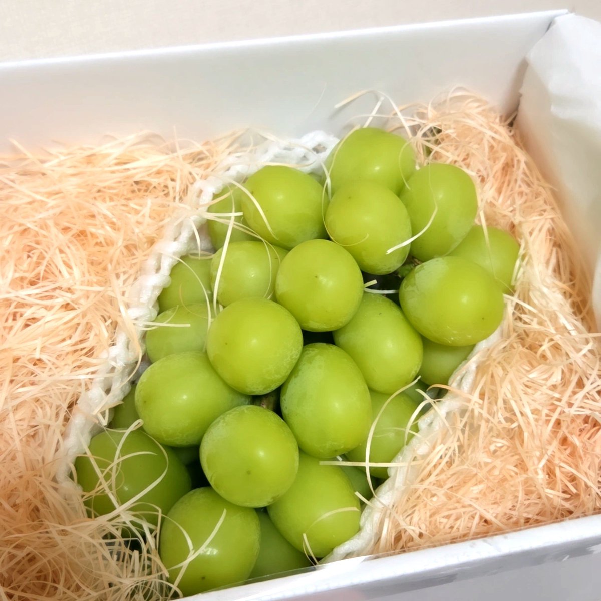 koku10's tweet photo. 今年も1kg超えのシャインマスカット届いた🍇甘くて美味しい。 https://t.co/8gY9PUE2ZZ