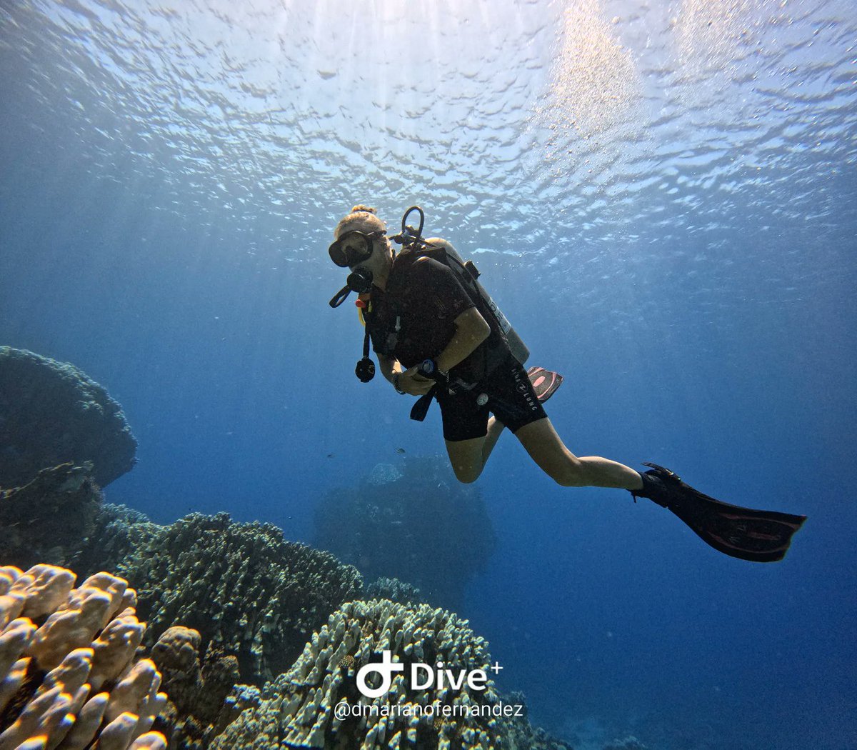 Tugce_Malik's tweet photo. 📸 by @dmarianofernandez
🧜‍♀️ Model: @pilarcolias https://t.co/iRhyTsA4ky