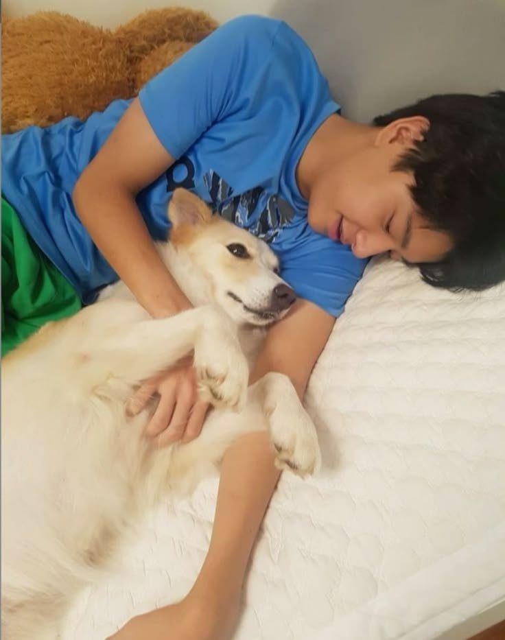 antaresyun's tweet photo. forever layla's first and only best friend 🍀🦮 https://t.co/9gp89zMXGi