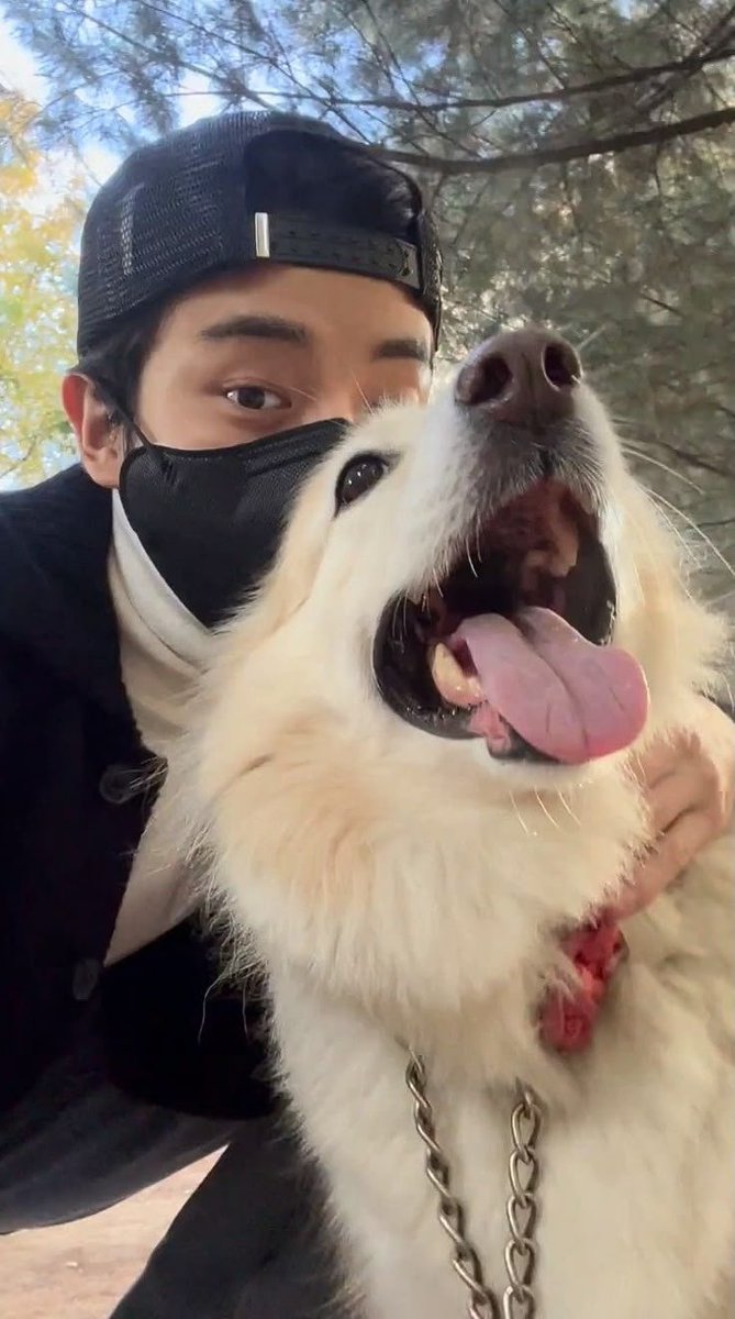 antaresyun's tweet photo. forever layla's first and only best friend 🍀🦮 https://t.co/9gp89zMXGi