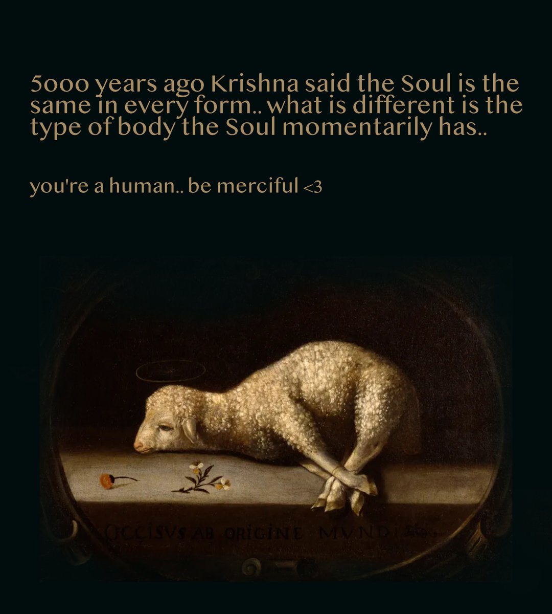 cannondale333's tweet photo. @ClaudiaToni Krishna says they have Souls as do you.. in memory of his Mom's passing.. go vegetarian<3 https://t.co/ZtGtZyWGdi