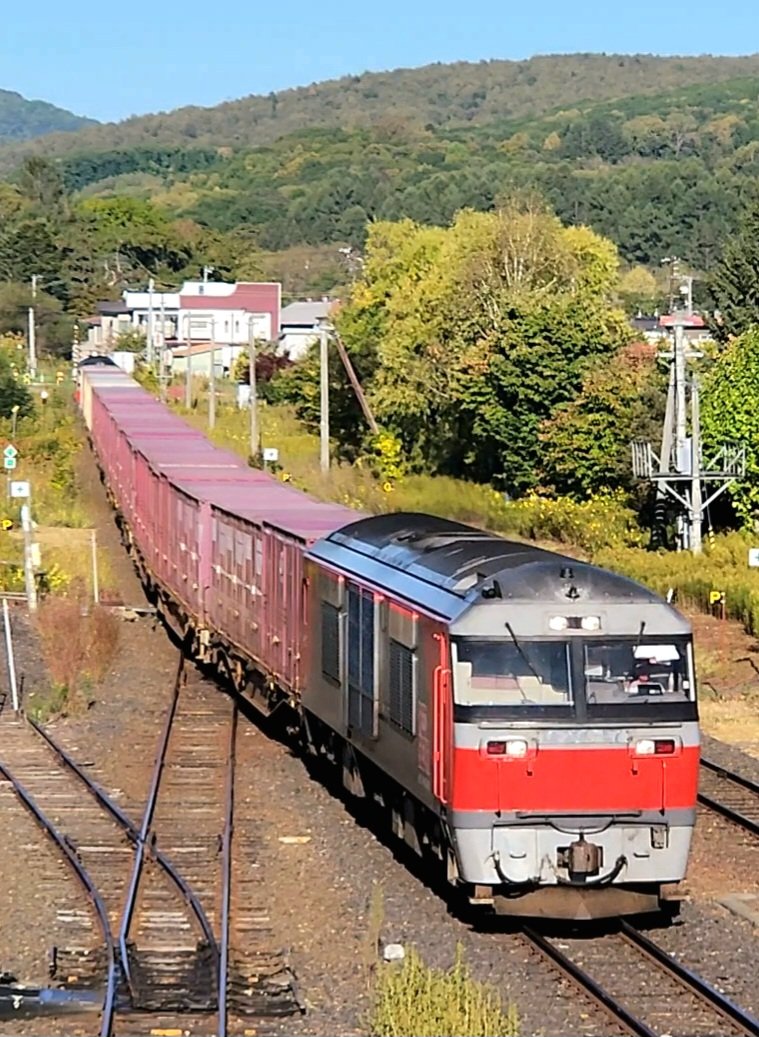 iakPXv9phi46316's tweet photo. 石北本線にて。
8071レ　石北貨物
DF200-52+コキ11B+DF200-57
曇☁️一つ無い快晴☀️でした。 https://t.co/osAT3q7THa