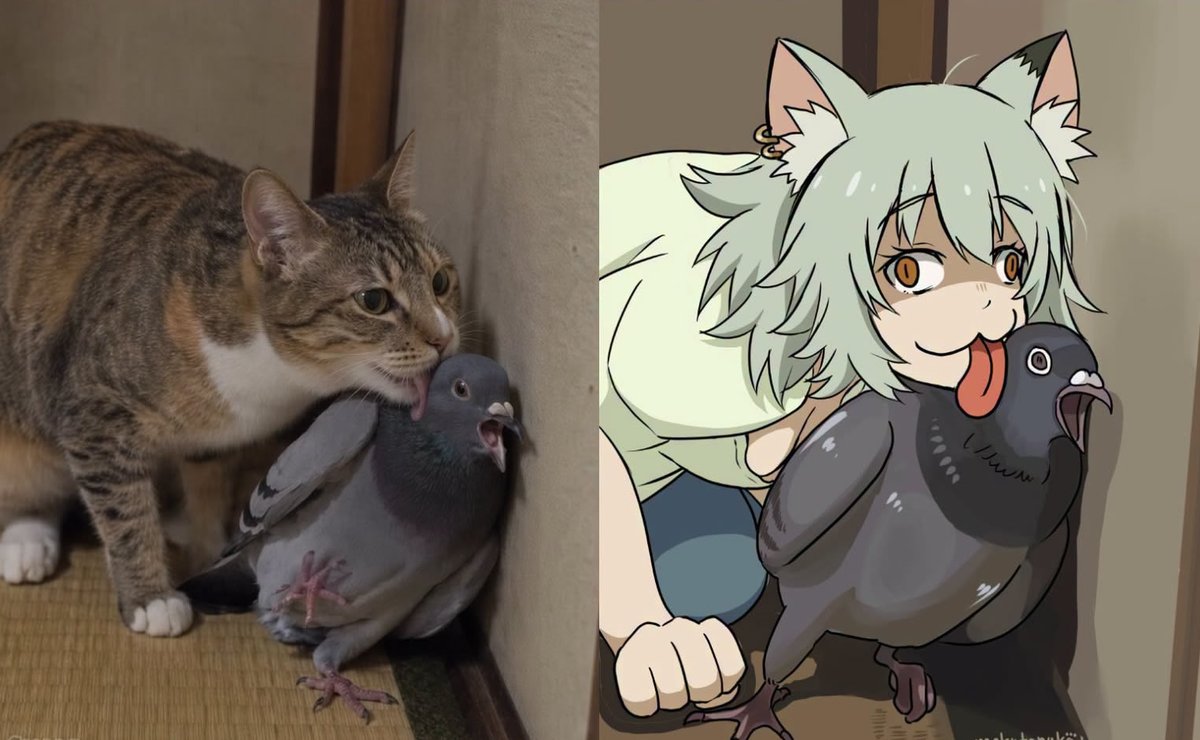SomosKudasai's tweet photo. Perfectamente podría pasar por una escena real de Yani Neko

Un curioso video de redes y foros japoneses captó la atención de todos al mostrar a un gato dándole lengüetazos a una paloma aterrorizada en vez de cazarla. A raíz de esto, la artista 69mokutanuko39 recreó el momento sustituyendo al gato por Yaniko Satou de Yani Neko.

El trabajo fascinó a los fans, quienes aseguraron que la toma parece sacada del mismísimo anime.