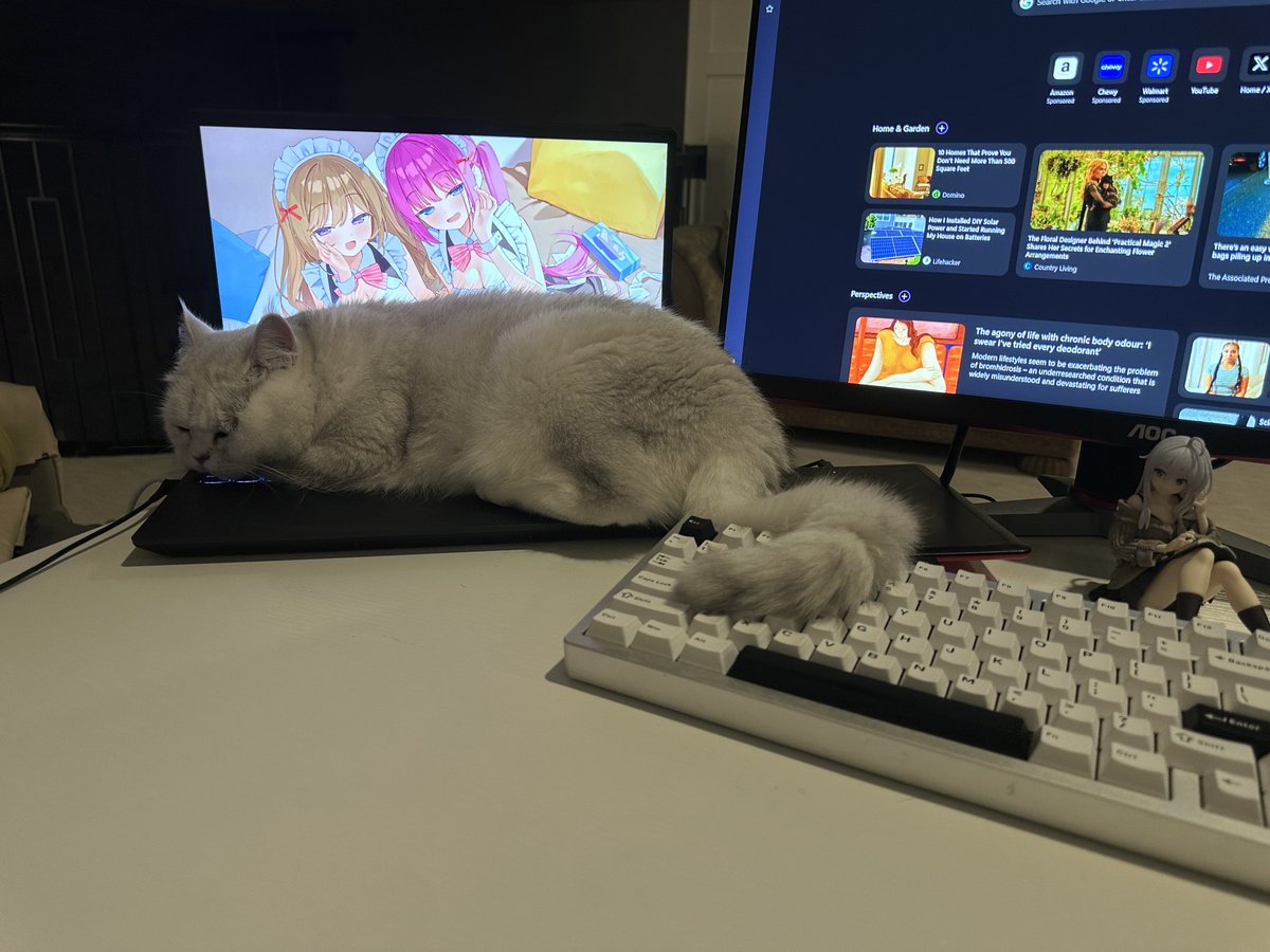 _fasten's tweet photo. she steals my keyboard all the time https://t.co/etTtgvWgkG