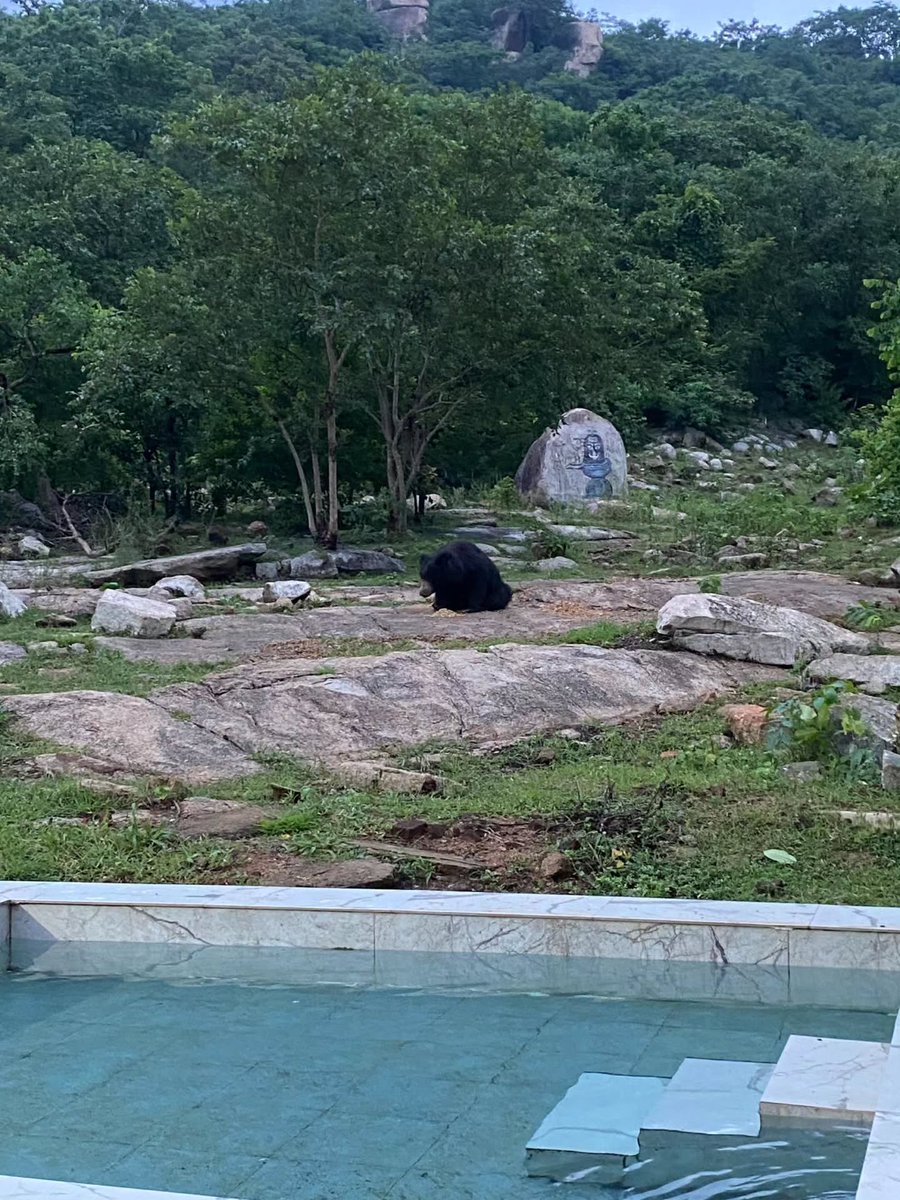 NickiShady's tweet photo. माँ चण्डी घुचपाली ( बागबहरा ) 🙇‍♂️🙏🏻🌺❤️.... ❤️ https://t.co/uqfkkqI1rG