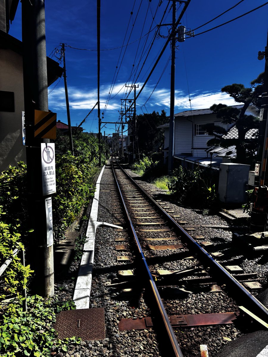 AltanCakmak's tweet photo. Kamakura, かまくら, 鎌倉,💙🤍💚 https://t.co/WGoBGqNE4y