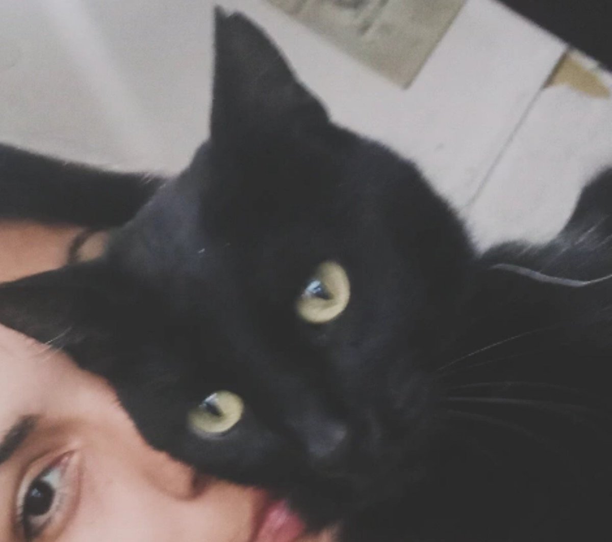 salazarayeeeee's tweet photo. @unabrujitacool Hermoso feliz cumple, dice mí nego si pueden ser amigos https://t.co/5FvDlis2FP