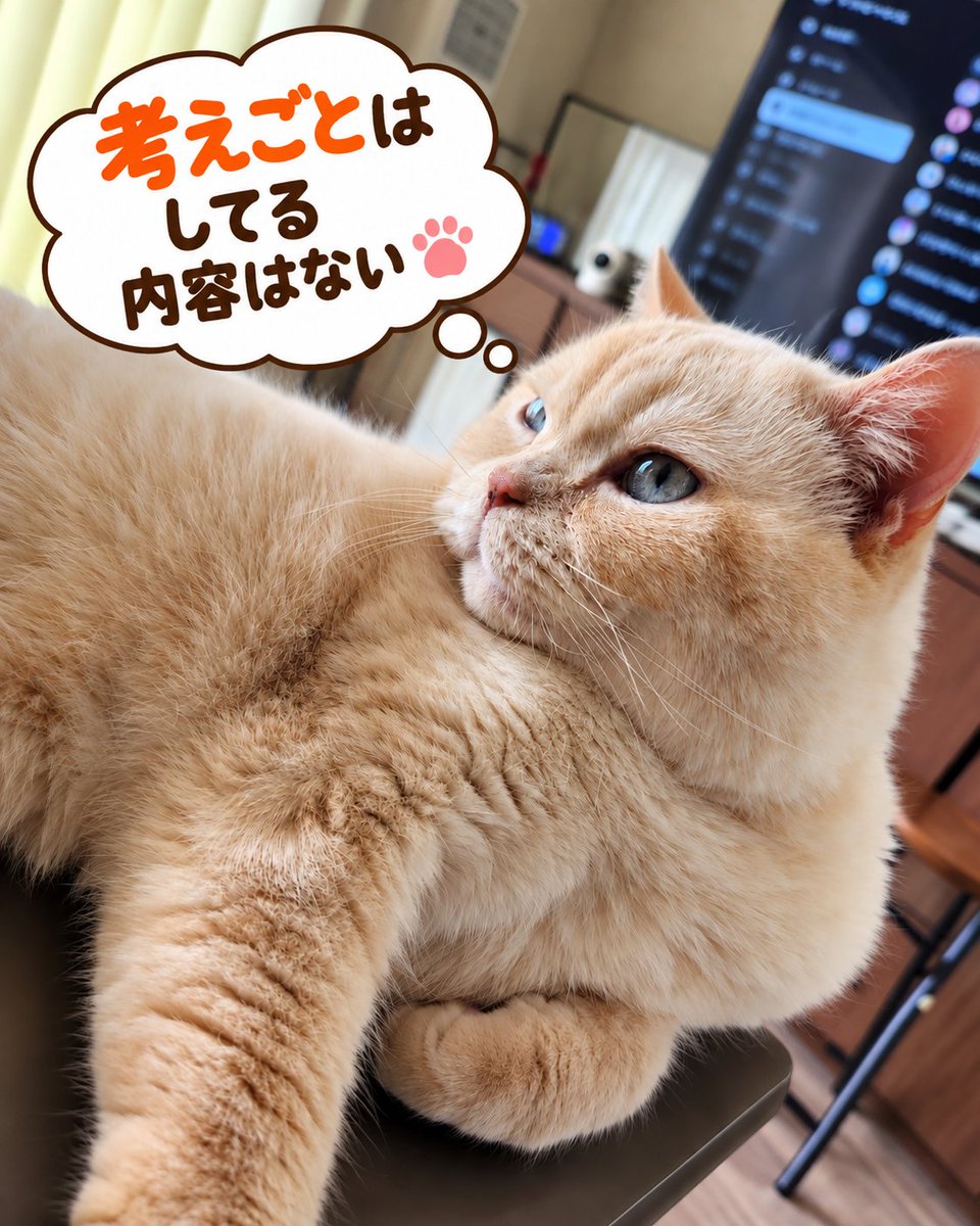 LifeWithDaizu's tweet photo. 1753日目の大豆🍀

#大豆の一言 #猫のいる暮らし https://t.co/k8Sxio0FQl