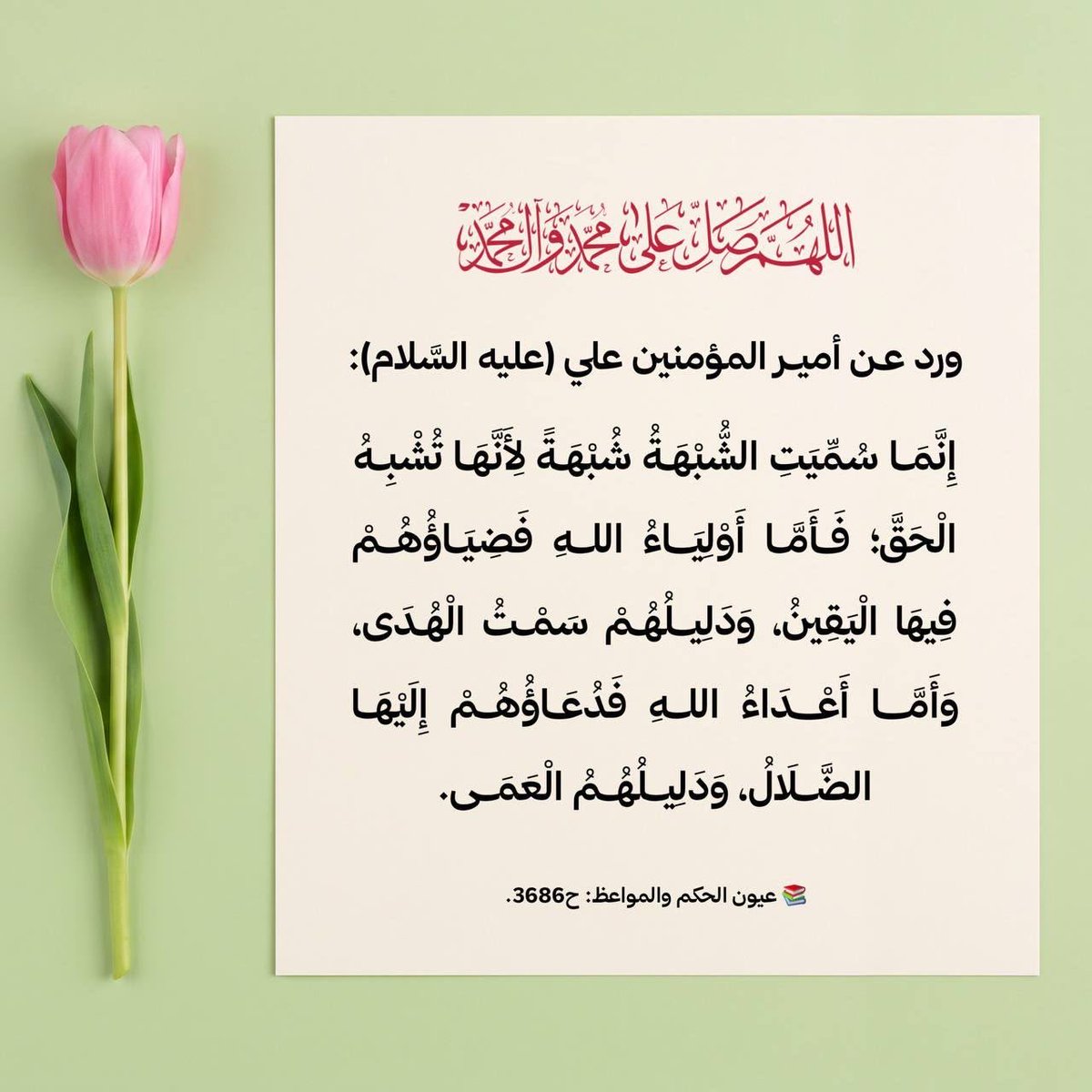 AbuAbsullah's tweet photo. صباح الخير على الجميع 🙋 https://t.co/zl2LTohYx2