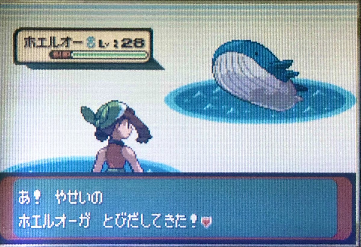 50_poke's tweet photo. 出現率1%の野生ホエルオーきちゃ https://t.co/7WbW8wVV84