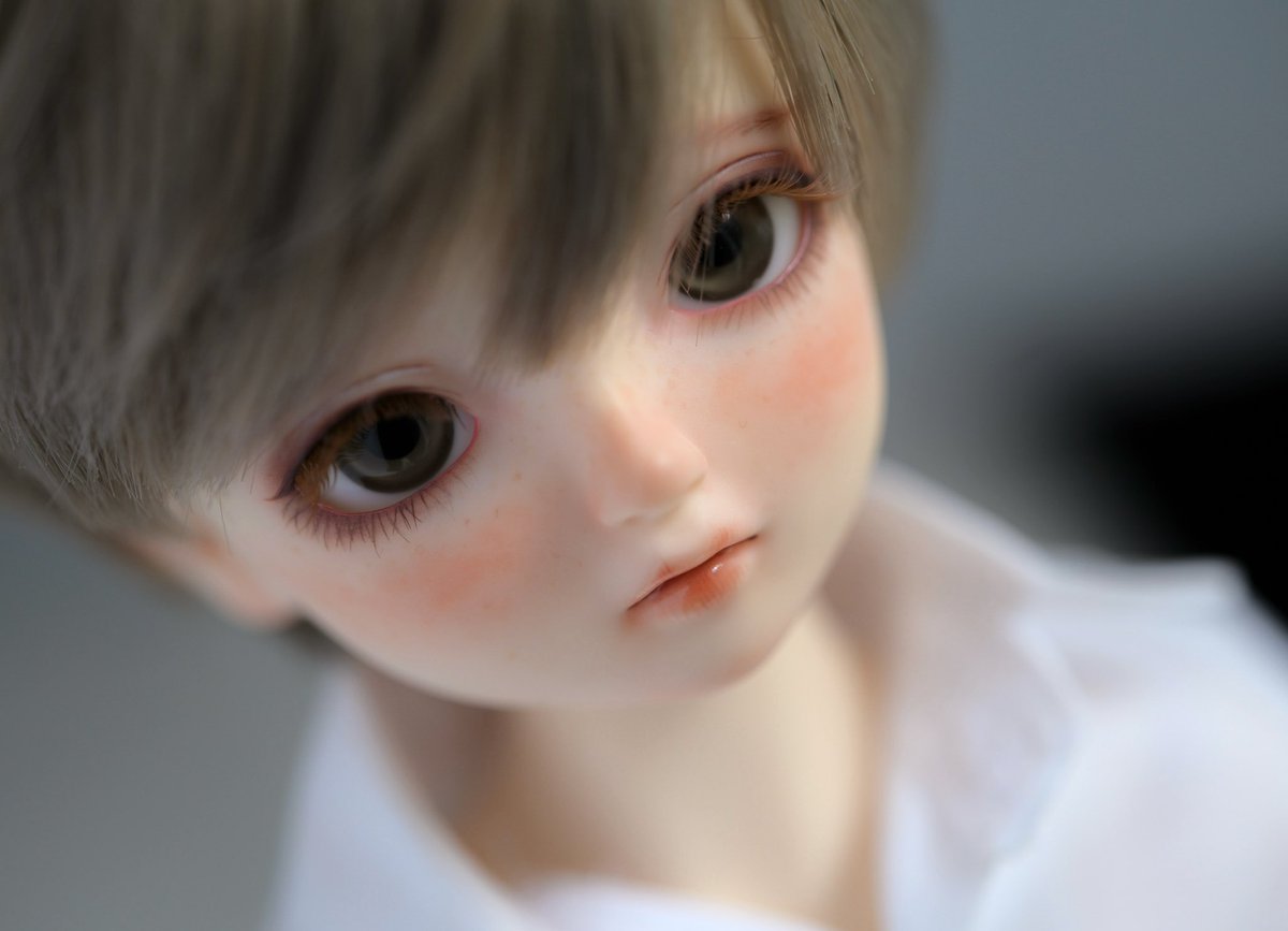 meguru_611's tweet photo. そばかすの少年
#mgrmake
#sdm_f_58 https://t.co/rmQMD0WXwg