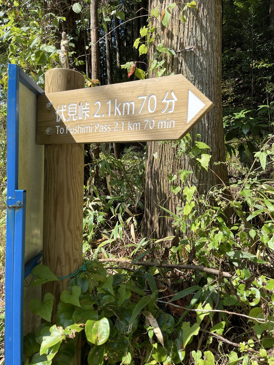 kiyukiroom's tweet photo. あと2340メートルのラミネート看板まで行くだけでも良い。見ることがない昆虫、生き物や虫や鳥の鳴き声。携帯電波は入らない。自宅からその道のりも人生。 https://t.co/ShiINxp277