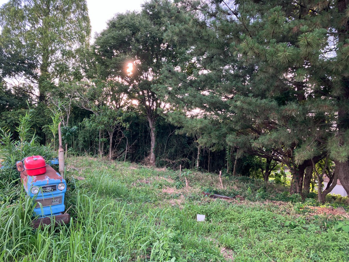 carefarmjp's tweet photo. 昨年7月、まだ何も手つかずだったいるま緑の森の敷地です。生い茂る森と一台のトラクターが、静かに時を待っていました。あれから1年2ヶ月、いよいよ着工です。 #ケアファーム #いるま緑の森 #CareFarmJapan https://t.co/bPEVkRskak