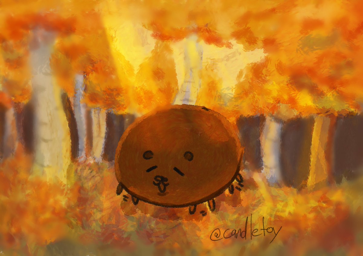 Candletoy's tweet photo. Fat bear https://t.co/1tyFcvAw9T