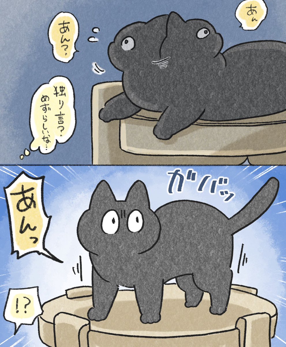 In_s_soi's tweet photo. ん゛〜〜〜ん…かわいい…かわいいねぇ…。

大事な◯◯を思い出したもんち！[再掲]
(1/2)

#今日のねこ https://t.co/9752gXDwzd