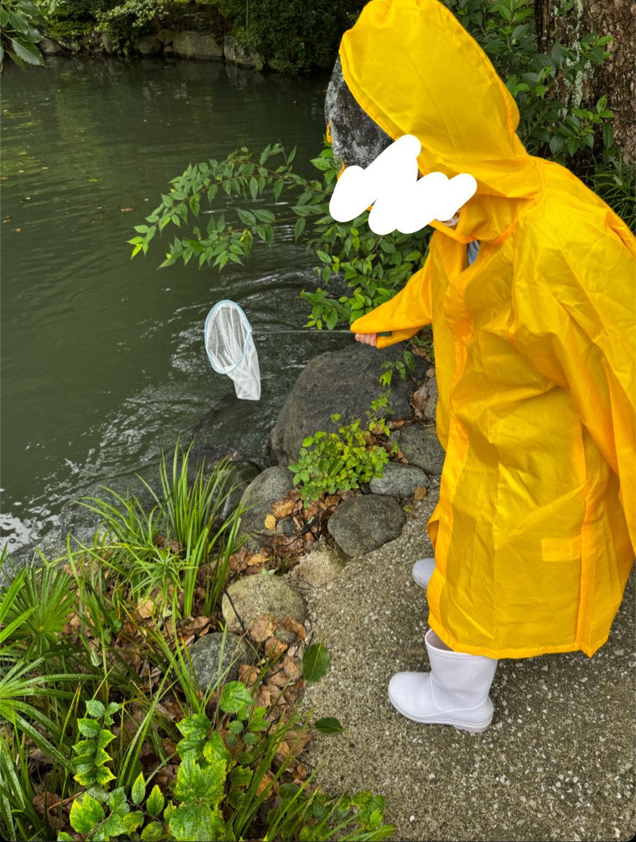 pan_crs's tweet photo. 雨降ってきちゃったけどカエルいないねぇ🐸☔️ https://t.co/6wEf4hNmIr