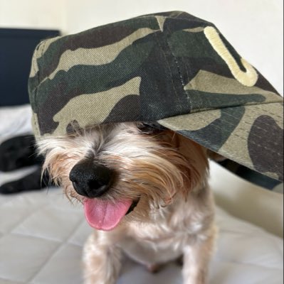 xav2swag's tweet photo. #NewProfilePic https://t.co/cSeXg3OmTk