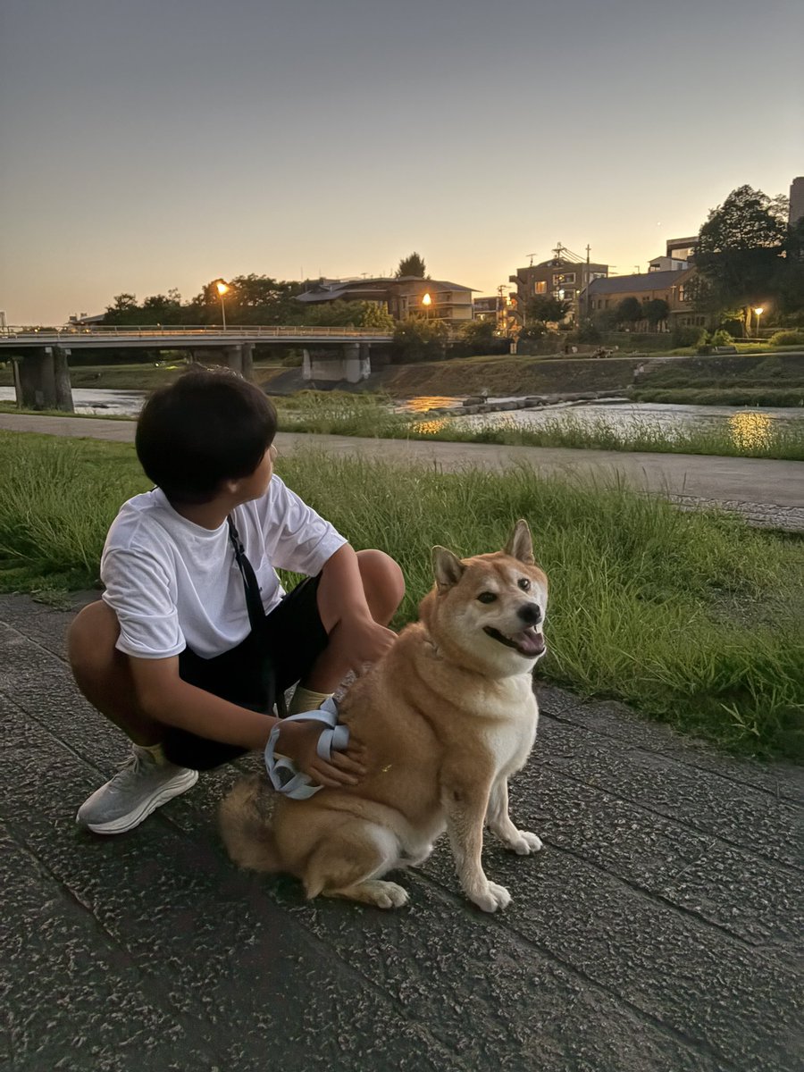 Naogfkq's tweet photo. 昨日の思い出
鴨川は爽やかワン🌿
#柴犬　#柴犬おでかけ
#柴犬かわいい　#連休 https://t.co/pHSJZXXwGN