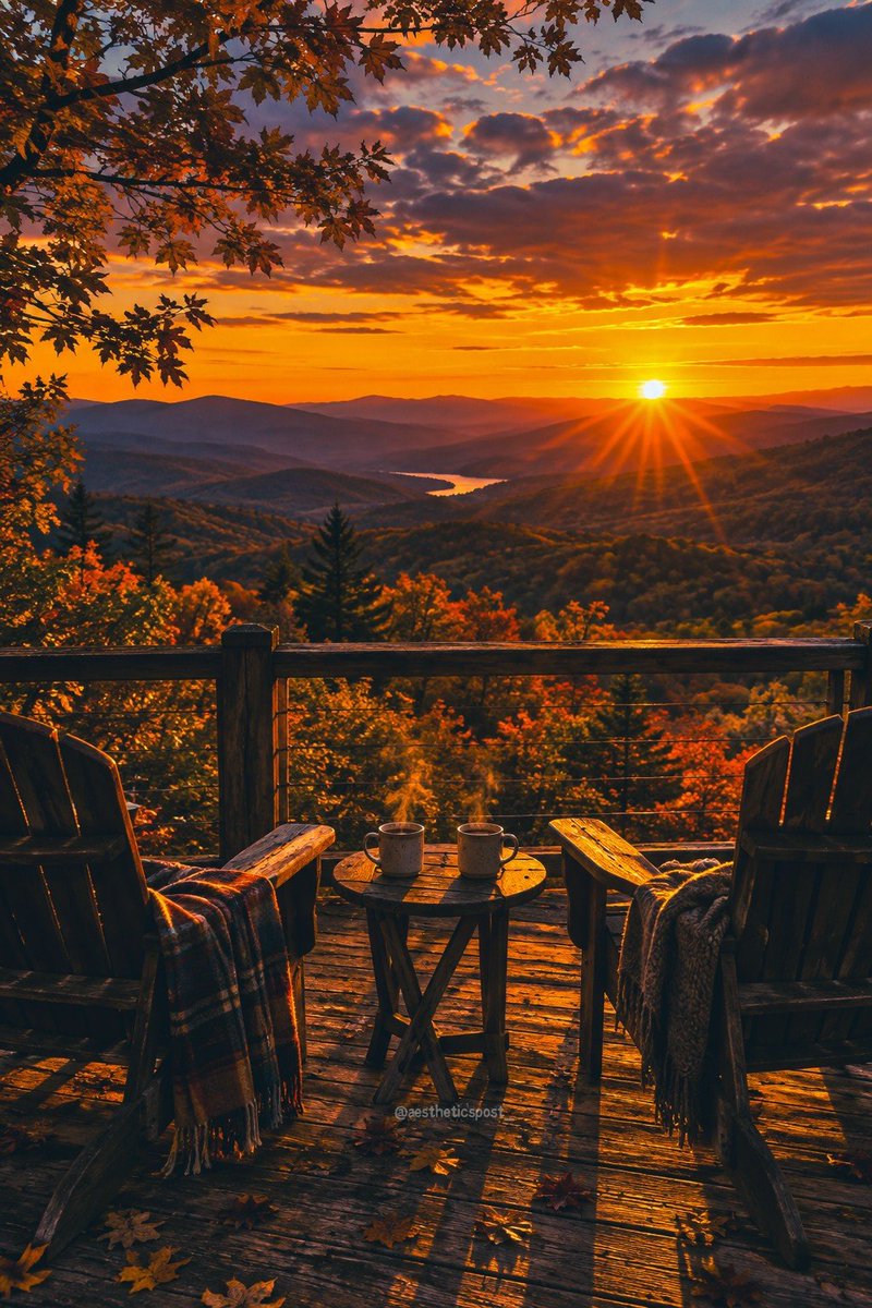 aestheticspost_'s tweet photo. Relax. https://t.co/u6T4BYC0jh