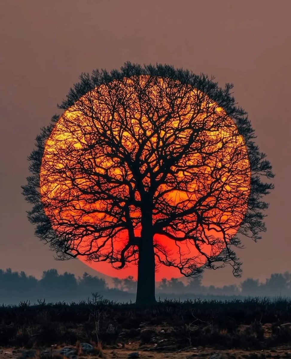 naturalbeautyi7's tweet photo. sunset https://t.co/s06Lv5ncf0
