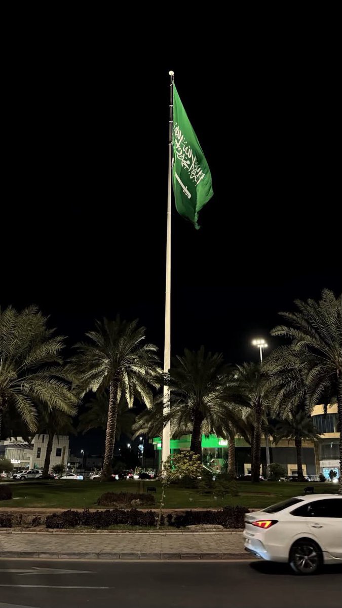 llll7xii's tweet photo. 🇸🇦💚 كل عام والمملكة العربية السعودية وشعبها بألف خير 🇦🇪💚🇸🇦 https://t.co/G9UD6I1cXA