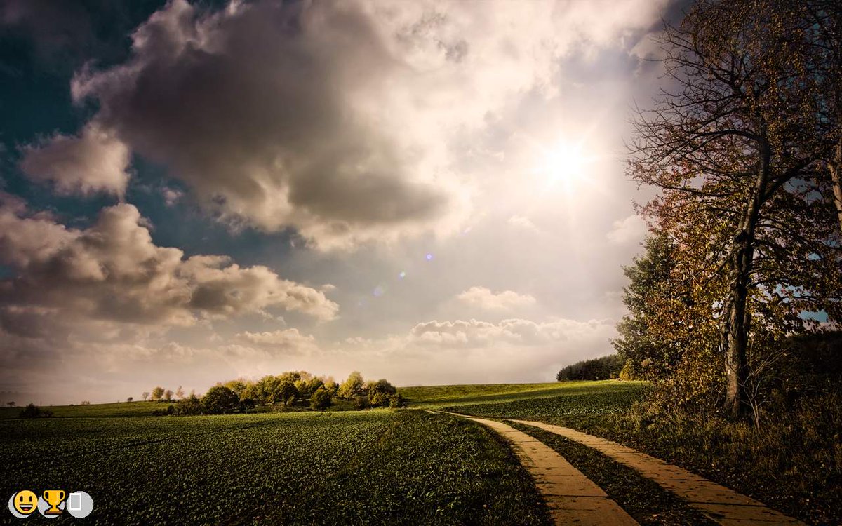 falcf773797's tweet photo. 😁 👍 🎊 😆
嫩穴🐊喷水👈女M🏈1对1🪂91视频🐳婊子🔆走光🌺女m🧮聊骚🧬女王🧖羞辱🦠叫爸爸🖖颜射🧤绿帽🏠蜜桃臀📙校园🤙洛丽塔🤍磕炮▪女m💠母畜🦞健身🚖油光丝🤗曝光📍一对一

裸聊/连麦/文爱/调教/寸止
企鹅裙：443113742
飞机：tangshipwd https://t.co/d0gv8ZvG4h