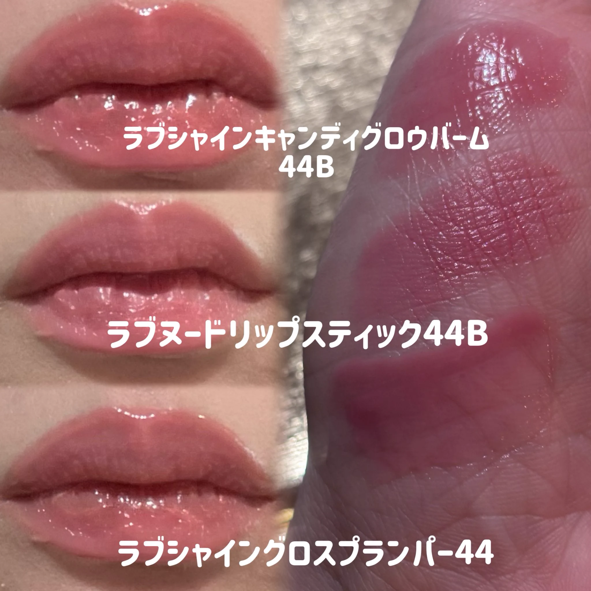 まほ🐰 on X: 