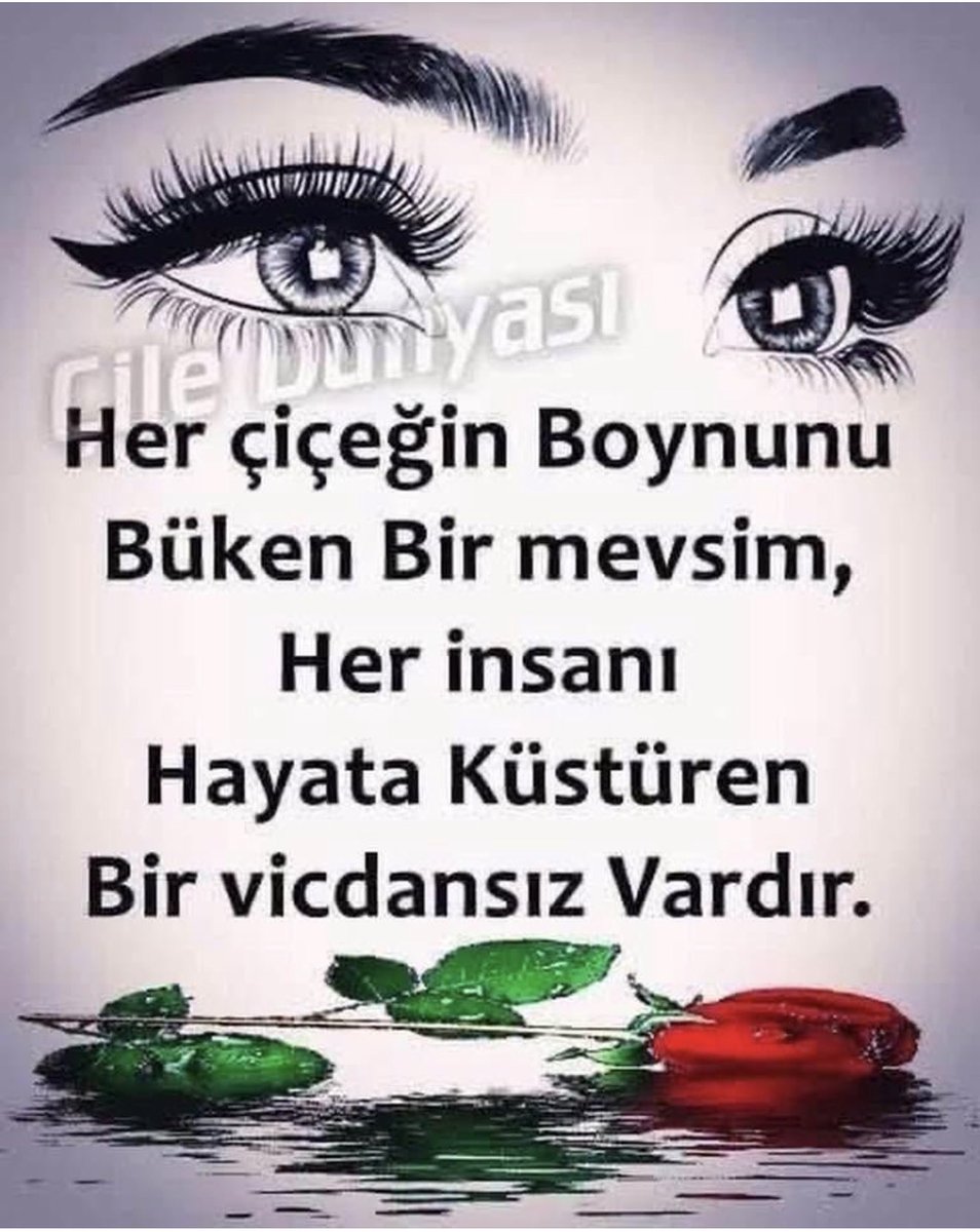 Tahsin170942's tweet photo. Selamün aleyküm https://t.co/iYFKksIoGU