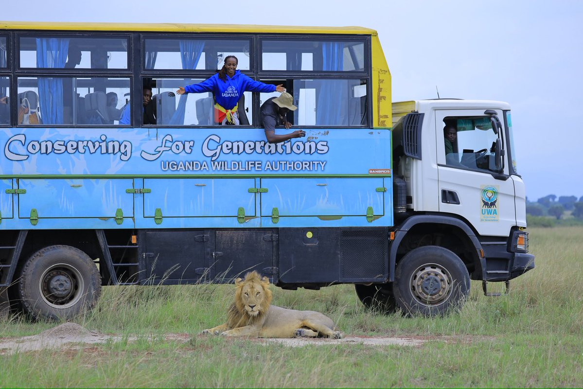 aaronmmitti's tweet photo. Why  Queen Elizabeth National Park? 

Because it truly lives up to its name — a Medley of Wonders! 

From thrilling game drives and the iconic Kazinga Channel boat cruise to elephants, hippos, buffaloes, lions and over 600 bird species, there’s something for every kind of explorer. 

And if you’re lucky, the tree-climbing lions of Ishasha might be waiting for you! 

- Open Park Days | 25–27 September
-  FREE PARK ENTRY

This weekend, choose wild. Choose Queen Elizabeth. 

#OpenParkDays2026 #ExploreUganda
