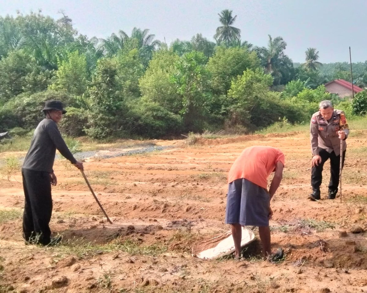 HuluBilah's tweet photo. Dalam rangka mendukung Program Pemerintah yakni ketahanan pangan khususnya tanaman kagung, maka Personel Polsek Bilah Hulu mengajak masyarakat untuk menggalakkan penanaman kagung di wilayah hukum Polsek B. Hulu.

#POLRESLABUHANBATU
#POLDASUMUT
#GUGUSTUGAS
#KETAHANANPANGAN
#POLRI https://t.co/OSeOROnfRH