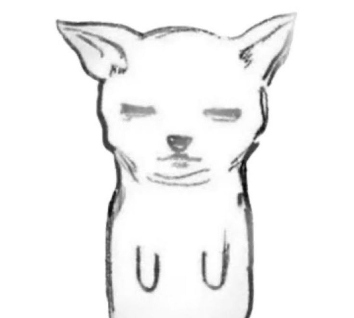 bbangg_O0's tweet photo. https://t.co/zXVxD98aRH