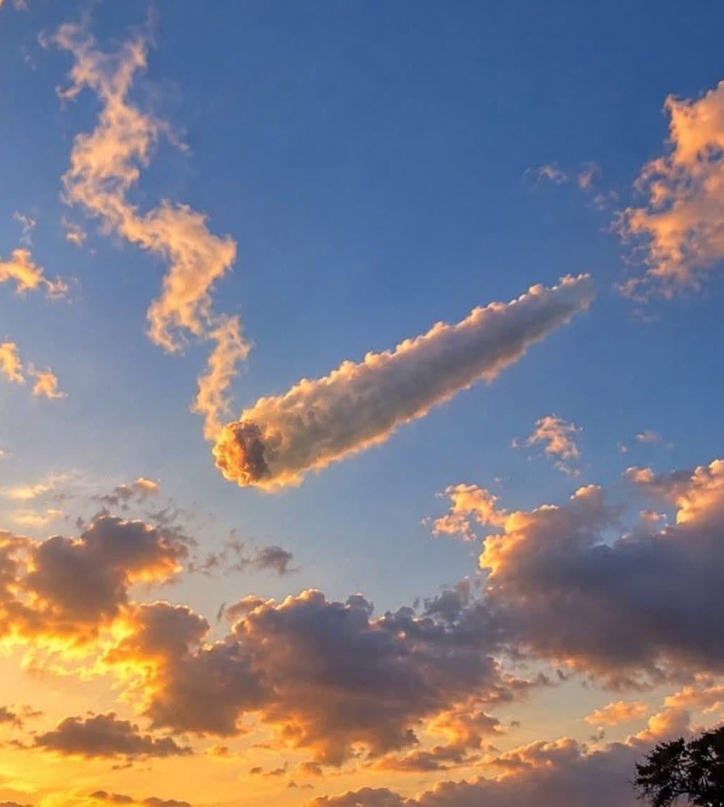 CannabisAngelxo's tweet photo. Today’s forecast: https://t.co/ZohSpldeRe
