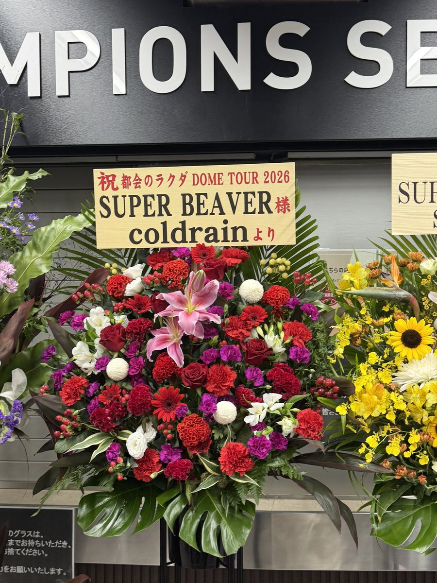 5n2_w's tweet photo. 今日はビーバー🦫です！！
東京ドームお世話になります！！ https://t.co/LFYUMtEC77