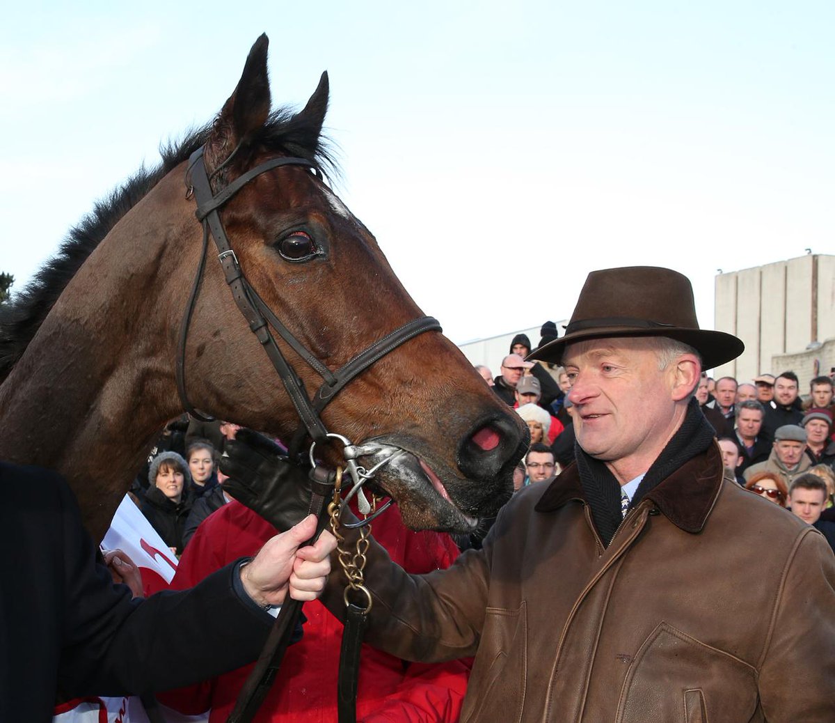 WillieMullinsNH's tweet photo. What an incredible journey.

Rest easy champ💙💚💙  

📸Caroline Norris https://t.co/mfQHsfnBfV