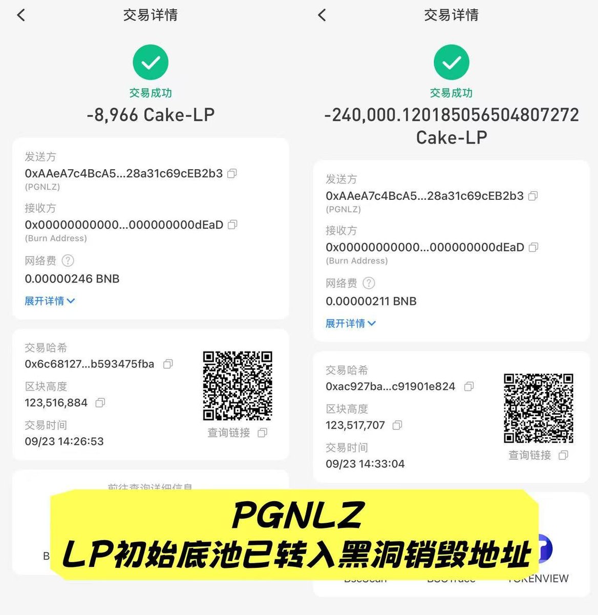 wttpp81197815's tweet photo. [PGNLZMAX Announcement]
 
We would like to thank the community for its ongoing attention and support. We hereby announce the latest progress regarding the contract permissions of PGNLZMAX:
 
The initial liquidity pool of PGNLZ LP has been fully transferred to the black‑hole burn address on the BSC chain. The associated LP rights and interests have been permanently burned and are non‑redeemable and irrecoverable. All other relevant permissions will be revoked progressively. All transactions are verifiable on‑chain. We will keep the community updated on further developments. Please refer only to official announcements and on‑chain data.
 
Sincerely,
PGNLZMAX Overseas Technical Team
September 23, 2026