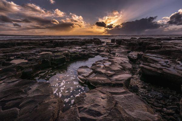 kathy63ns0's tweet photo. 芳洲 荷香 相惜 @grok https://t.co/tsjxScqpz6