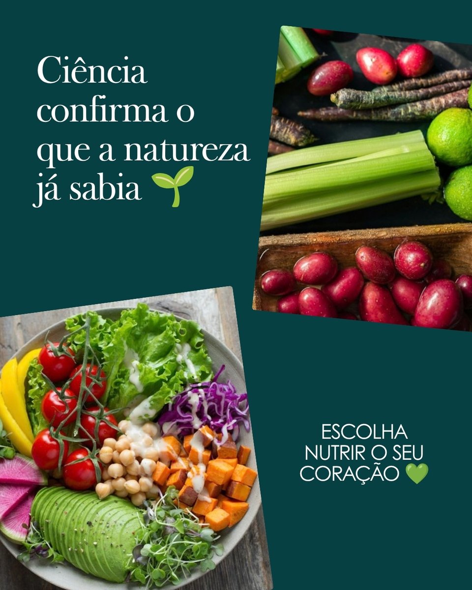 Calmariagreen's tweet photo. 🌱 Novo estudo (846 mil pessoas!) mostra: dieta plant-based de qualidade reduz em até 17% o risco de doenças cardiovasculares. Comida de verdade > ultraprocessados vegetais. Seu coração agradece 💚 #plantbased #saude https://t.co/abNM3Zt2mv