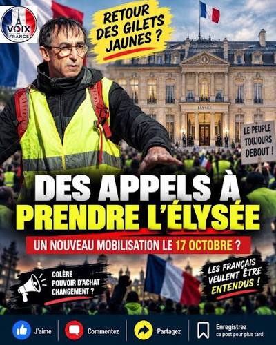 BoussardFr84098's tweet photo. Une pierre, deux coups (one stone, two birds) : 

Macron attaqué par Israël et ses supplétifs de la presse parisienne, à quelques semaines du rendez-vous du 17 octobre avec les gilets jaunes évoque la position du général De Gaulle avant mai 68 lorsqu'il avait critiqué l'entité mafio-sioniste lors de la conférence de novembre 1967. 
L'idée pour ceux qui planifient à court et moyen terme (J35) pourrait être de construire la narrative du renversement du jouet sexuel🥒de Brigitte Bronson (dont l'usure est désormais accablante), en démontrant en passant l'infiltration, l'incrustation cancéreuse de la mafia juive dans la société et la politique française. 
Questions à 2 shekels (ou shekalim pour nos aimables et attentifs lecteurs juifs) : le pédocriminel Cohn-Bendit aura-t-il un rôle dans cette nouvelle saga ? Prendra-t-il finalement le coup de matraque qui lui était destiné en 68 ? Questions entêtantes en forme de gros teaser...🐸😋