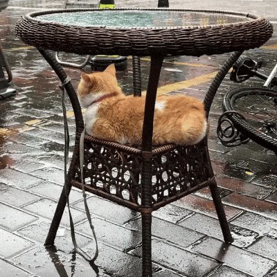 Titoputra8's tweet photo. Stumbled on a rainy alley stand where an old man’s cat napped on a stack of vintage books under a yellow umbrella. Pure quiet magic in the city today. https://t.co/A4Z4VeGoGi