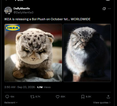 MarioPrezldente's tweet photo. This is actually the next Labubu

This is going insanely viral today already - just look at the comments on this

IKEA is releasing a BOL PLUSH on October 1st and it is SO HYPED. 

ITS ALREADY GOT MILLIONS OF VIEWS
https://t.co/nFvQYL0w9w https://t.co/j7OZixZC4b