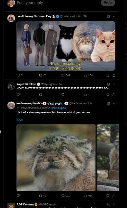 MarioPrezldente's tweet photo. This is actually the next Labubu

This is going insanely viral today already - just look at the comments on this

IKEA is releasing a BOL PLUSH on October 1st and it is SO HYPED. 

ITS ALREADY GOT MILLIONS OF VIEWS
https://t.co/nFvQYL0w9w https://t.co/j7OZixZC4b