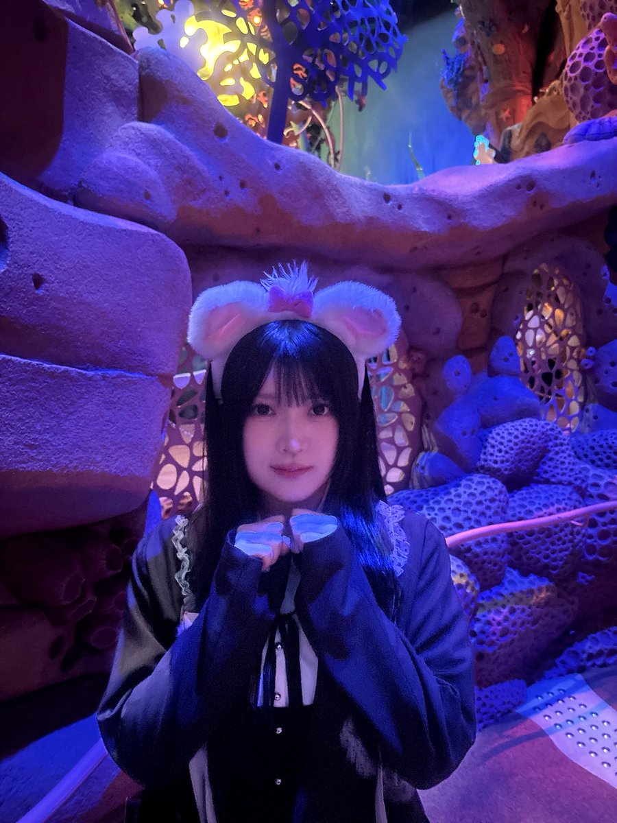 aaanna1205's tweet photo. こんなに空いてるDハロ初めて
雨忘れるくらい楽しかったです☔️♩ https://t.co/anmwVUML25