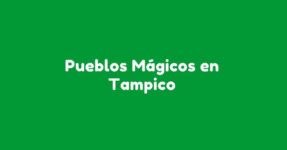 impressiones_mx tweet picture